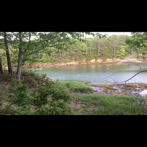 Meet your Posher, Katrina